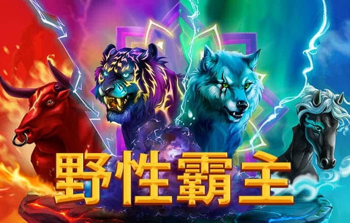 新泰
